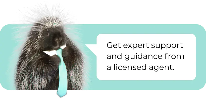 Quility mascot Quigley says "get expert support and guidance from a licensed agent"